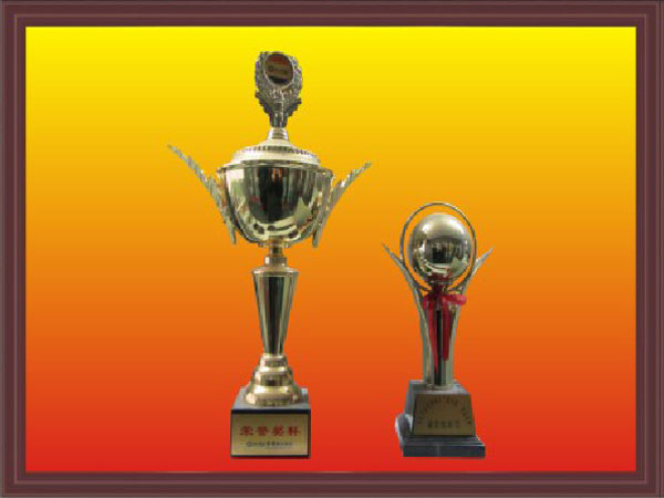 荣誉奖杯